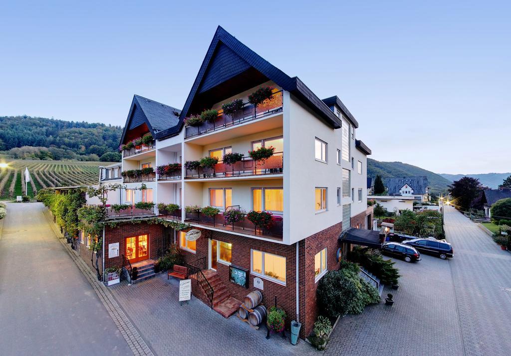 Weinhotel Sonnenschein Эрнст Экстерьер фото